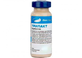 Трилакт