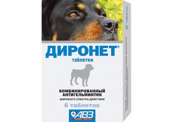 Диронет