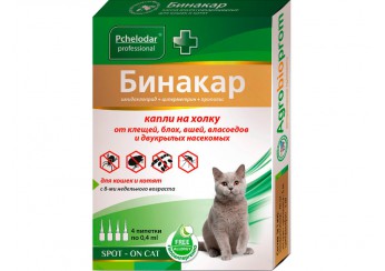 Бинакар