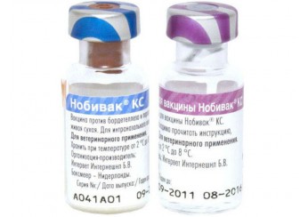 Нобивак КС (Nobivac КС) 1 доза + растворитель 1 фл флакон