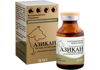 Азикан