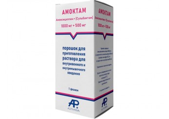 Амоктам